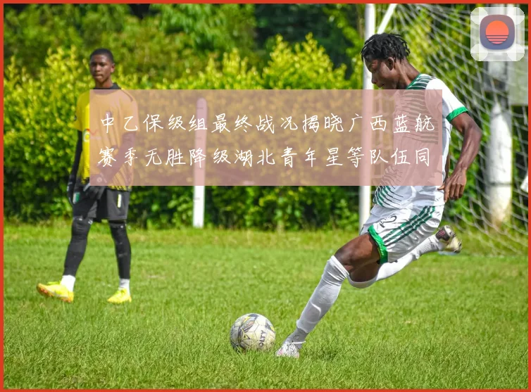 中乙保级组最终战况揭晓广西蓝航赛季无胜降级湖北青年星等队伍同遭降级